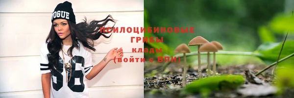 эйфоретик Бугульма